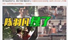 七仔粉丝爆料事件视频大全
