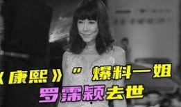 康熙爆料一姐视频大全集,揭秘娱乐圈幕后真相