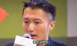 娱乐圈爆料 谢霆锋,揭秘不为人知的背后故事