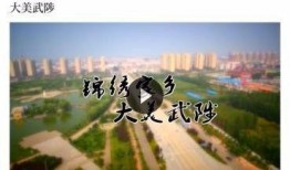 武陟新闻爆料,最新爆料揭示当地热点事件详情