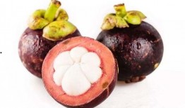 娱乐吃瓜酱山竹,娱乐吃瓜酱的神秘魅力揭秘