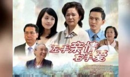 左手亲情右手在线观看,跨越时空的温暖陪伴