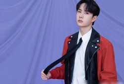 最近圈内爆料王一博地位