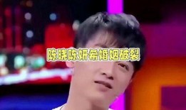 娱乐圈吃瓜陈晓,揭秘明星背后的真相