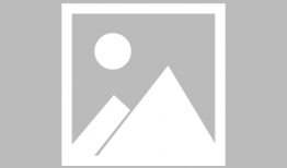 新闻爆料短信怎么写,如何捕捉社会热点瞬间