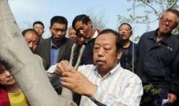 农民老张最新爆料新闻,揭秘农村新动向背后的惊人真相！