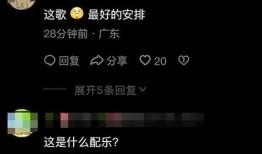 爆料视频的配乐,揭秘爆款视频背后的神秘配乐