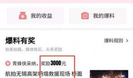 肇庆今日头条爆料,揭秘肇庆最新热点事件，带你了解城市动态