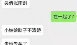 未婚先孕爆料视频大全下载,真实生活片段大盘点