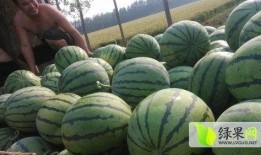 椒江吃瓜最新事件爆料,揭秘背后惊人真相！