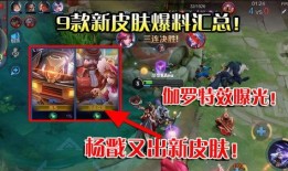 王者爆料曝光视频大全,视频大全带你领略游戏新动态
