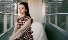 胡连馨视频爆料大全,揭秘背后真相与争议