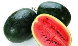 徐州网红吃瓜事件视频,一场网络热议的瓜田奇谈