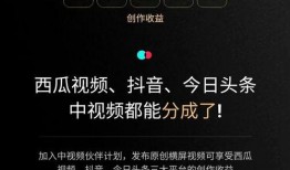抖音爆料如何处置流程视频,从举报到封禁的每一步
