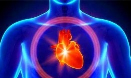 911今日爆料往期回顾是真的吗,往期回顾真相大起底