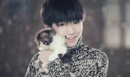 圈内爆料王俊凯张雨绮,神秘事件引热议