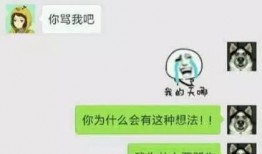 慕洋女友爆料聊天记录视频,揭秘跨国恋爱的甜蜜与挑战