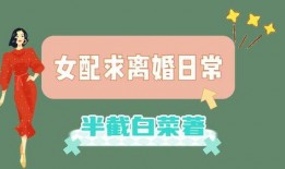 娱乐圈爆料官方小说推荐,揭秘明星背后的秘密，官方小说推荐带你走进明星真实生活