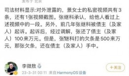 张继科爆料视频大全,揭秘赛场背后的故事与情感