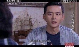 左手亲情右手在线观看,跨越时空的温暖陪伴