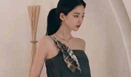 网红前男友吃瓜视频大全,揭秘娱乐圈背后的情感纠葛