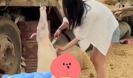 家暴吃瓜网红视频大全,网红视频大全揭秘惊人真相