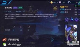 王者爆料元哥视频大全集,元哥视频大全集深度解析