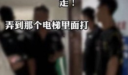 石家庄爆料真实事件视频,视频揭露惊人真相